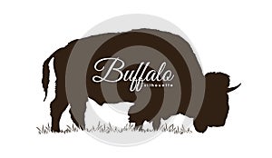 Hand drawn Buffalo Silhouette Isolated on white background