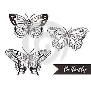 Hand drawn butterfly logo design collection.