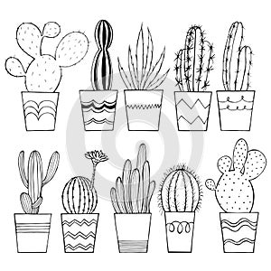 Hand drawn cacti in pots. Vector sketch illustration.