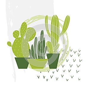Hand drawn cacti. Vector sketch illustration.