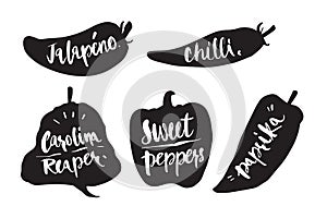 Hand drawn Caligraphy in silhouette chilli, My jalapeno, chilli, carolina reaper, sweet peppers, paprika, icon or logo. Lettering