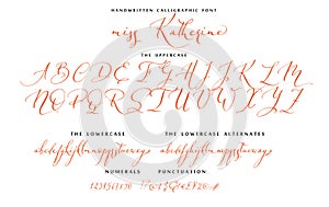 Hand drawn callygraphic font vector alphabet set photo