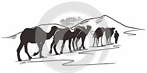 Hand drawn of Caravan with camels in desert. camel walking through the desert. Caravan going through the dunes