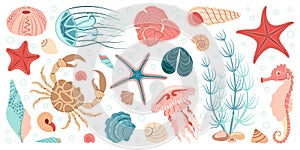 Hand drawn marine animals and plants flat style set, underwater ecosystem for your design.