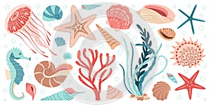 Hand drawn marine animals and plants flat style set, underwater ecosystem for your design.