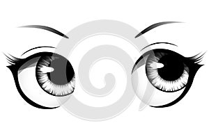 Hand drawn cartoon woman eyes with detailed irises, eyebrows and lashes