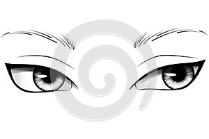 Hand drawn cartoon woman eyes with detailed irises, eyebrows and lashes