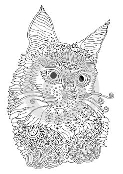 Hand drawn cat. Sketch for anti-stress coloring page.