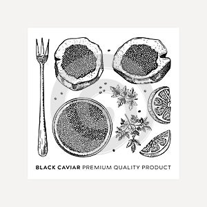 Hand-drawn caviar sketches set isolated on white background. Black caviar in opened tin can, caviar canape, lemons, spices vector