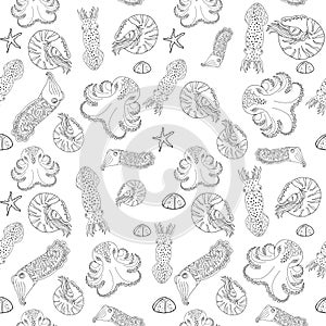Hand drawn cephalopods seamless pattern