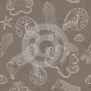 Hand drawn cephalopods seamless pattern