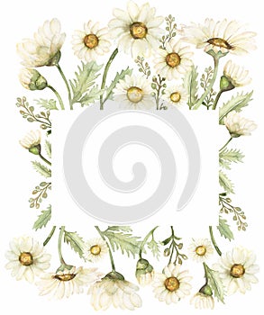 Hand drawn Chamomile Clipart, Watercolor Vintage Daisy Wreath Clip art, Rustic Meadow Floral Bouquet, Wildflowers Frame, Wedding