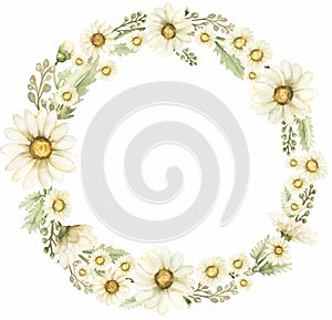 Hand drawn Chamomile Clipart, Watercolor Vintage Daisy Wreath Clip art, Rustic Meadow Floral Bouquet, Wildflowers Frame, Wedding