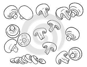 Hand-drawn champignons. Mushrooms in outline style are isolated on a white background. Whole, cut, slices, halves. Black and white