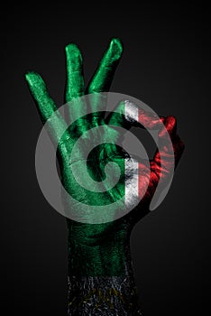 A hand with a drawn Chechnya flag shows an ok sign on a dark background