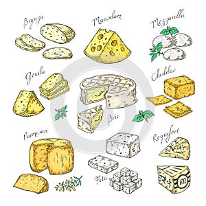 Hand drawn cheese. Doodle appetizers and food slices, different cheese types Parmesan, brie cheddar feta. Vector sketch photo