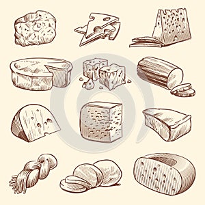 Hand drawn cheese. Various types of cheeses. Tasty brie, mozzarella and parmesan appetizer foods. Doodle sketch vintage