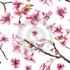 Hand Drawn Cherry Blossoms seamless pattern.