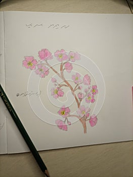 Hand drawn cherry blossoms