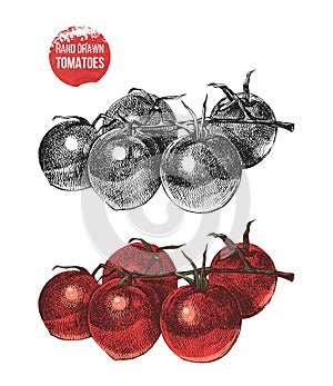 Hand drawn cherry tomatoes