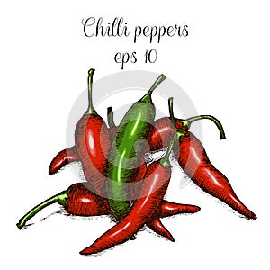 Hand drawn chilli peppers in color