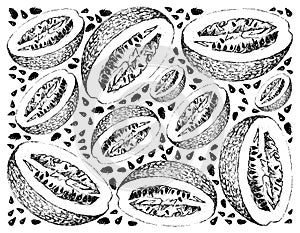 Hand Drawn of Chiverre Fruits on White Background photo
