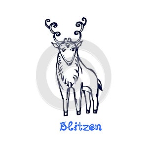 Hand drawn Christmas deer Blitzen