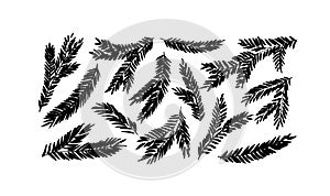 Hand drawn Christmas spruce tree branches set.