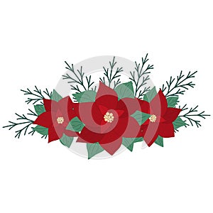 Hand drawn Christmas tree branch with poinsettia isolated on white background. Decorative doodle sketch illustration. Vector