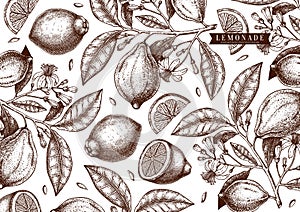 Hand drawn citrus fruits background. Vector lemons design with fruits, flowers, seeds, leaves sketches. Perfect for banners,