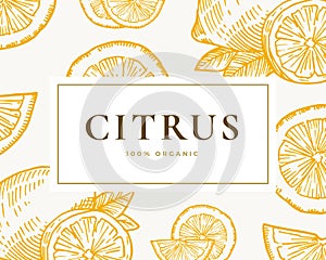 Hand Drawn Citrus Illustration Card. Abstract Vector Lemon and Orange Sketch Background with Classy Retro Typography.