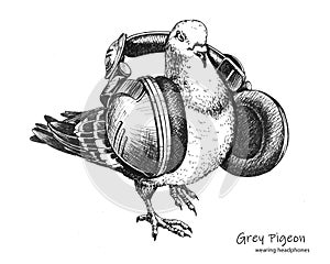 Hand-drawn city grey pigeon wearing headphones