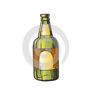 Hand Drawn Classic Color Bottle Of Beer Vector