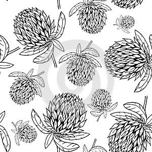 Hand drawn clover flower pattern