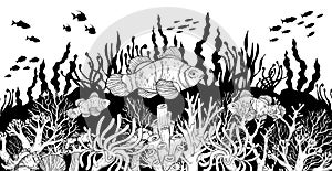 Hand drawn Clown fish in sea anemones coral reef, oceanic animal. Black and white
