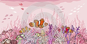 Hand drawn Clown fish in sea anemones coral reef, oceanic animal.