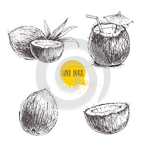 Hand drawn coconut set. Cocktail on white background.