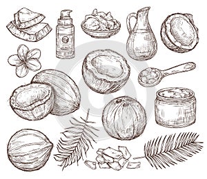 Hand drawn coconut. Summer sketch, beach palm exotic flowers. Organic raw coco oil and cosmetics, drawing tropical