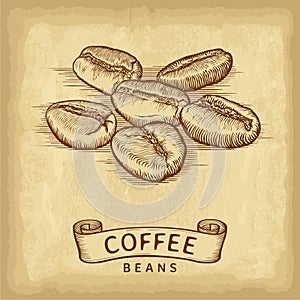 Hand drawn coffee beans with ribbon banner on old craft paper texture background. Engraved style vector illustration.