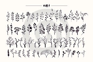 Hand drawn collection of rustic and floral design elements. Plants, flowers, leaves, tree branches silhouettes made with