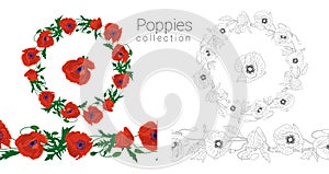 Hand drawn colorful and monochrome poppy flowers circular wreath and seamless brush. Floral design element. Isolated on white