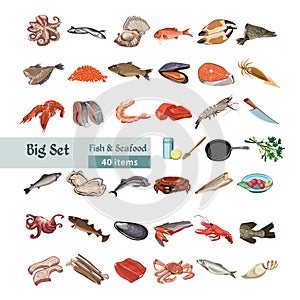 Hand Drawn Colorful Seafood Set