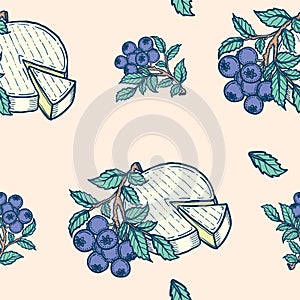 Hand drawn colorful vector background illustration of blueberries branch leaves and cheese head