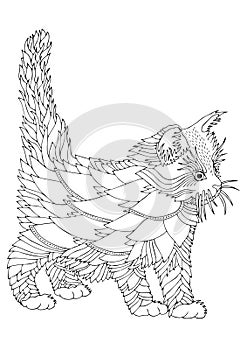 Hand drawn coloring page - The Siberian Cat