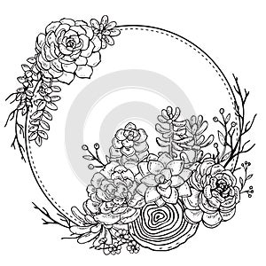 Hand drawn composition of succulent plants.