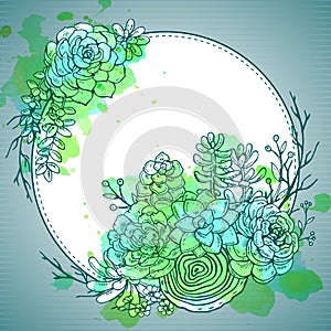 Hand drawn composition of succulent plants.