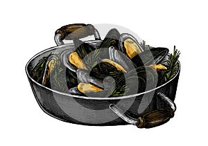 Hand drawn cooked mussels illustration