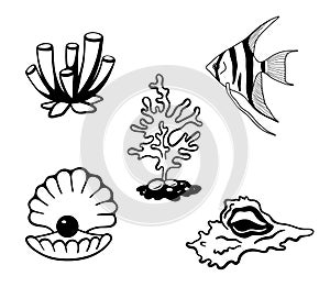 Hand drawn corals, seashell, pearl isolated on white . Silhouette icons underwater life elements. Set of line vector