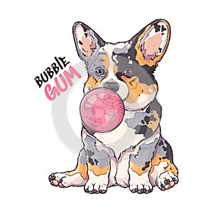 Hand drawn corgi puppy portrait Vector. Dog puffs out the gum.