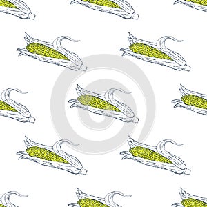 Hand Drawn Corn Seamless Pattern Background. Vector